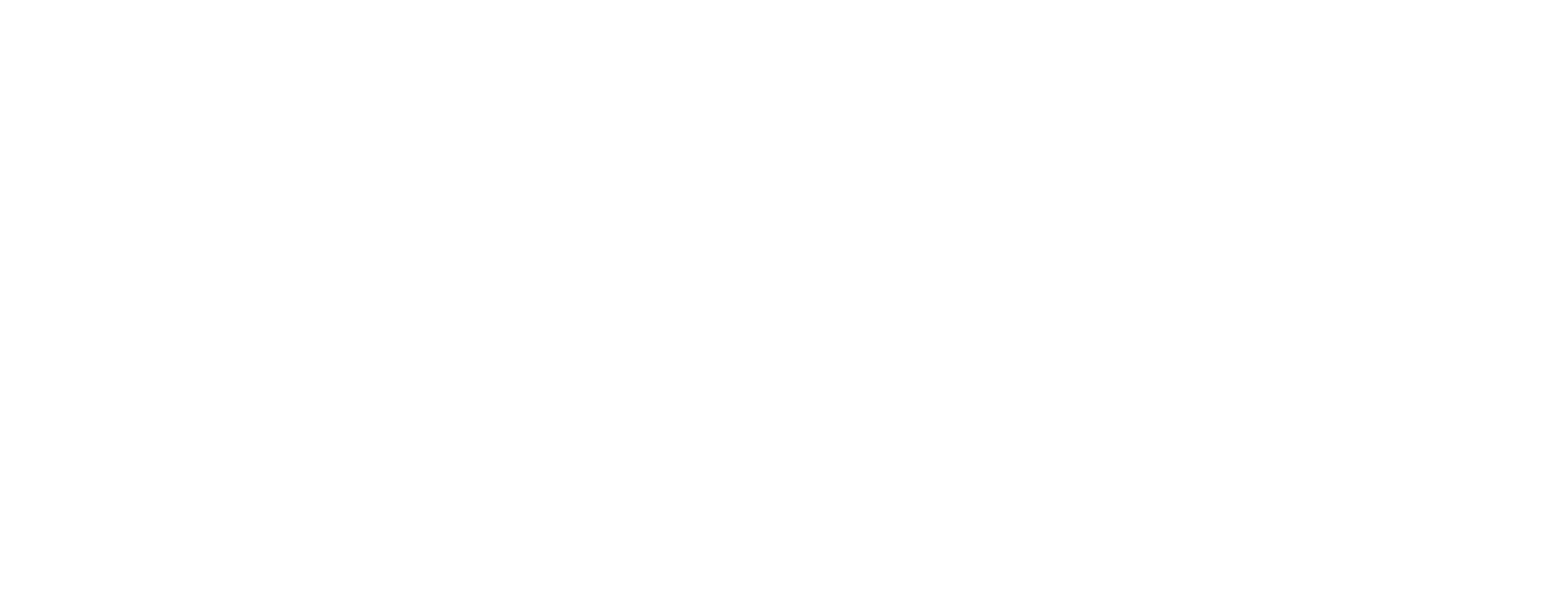 Logo Next Roots